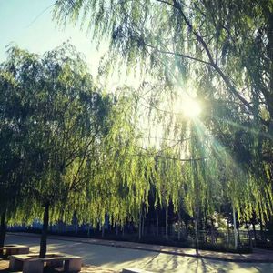 疯狂揉吮少妇嫩草视频
